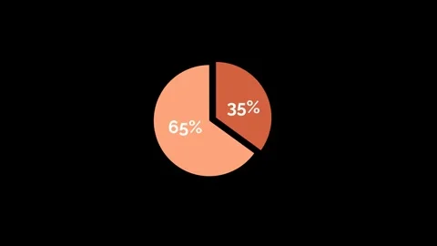 Financial Data Pie Chart Animation Market Share Stock Footage 325331689