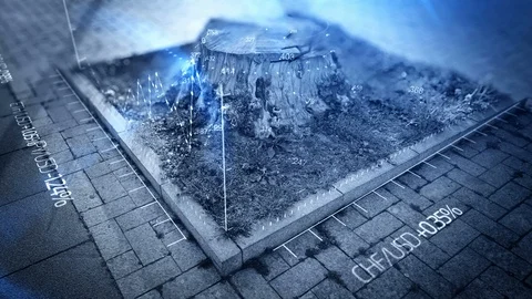 Financial Graphs Candlestick Chart and More Match moved on a tree Video stock 129446150