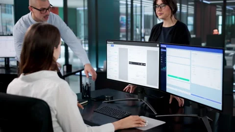 Financial Management Software: Team Of Analysts Ensuring Budget Control Stock Footage 326059545