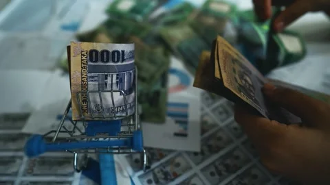 Financial Planning with Currency and Documents Footage, A miniature shoppin.. Stock Footage 304961328