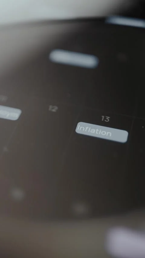 Financial planning interface, a specific date is assigned to Inflation Stock Footage 329776781