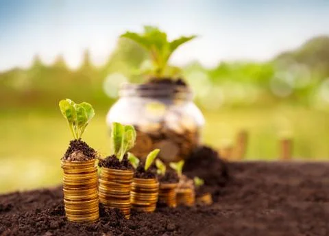 Financial security Stock Photos