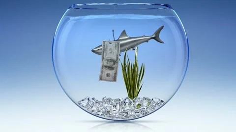 Financial shark Video stock 7732280
