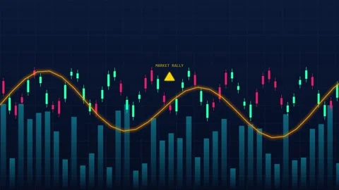Financial Stock Market Data Analysis Stock Footage 342599369