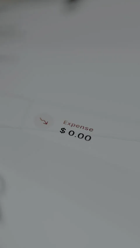 Financial summary showing a balance of zero dollars for Expenses Stock Footage 328882335