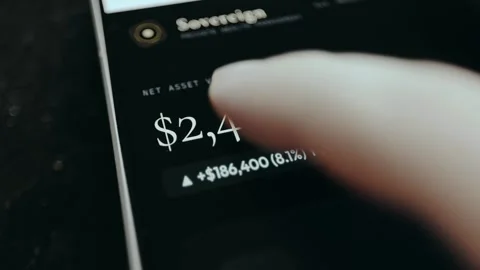 Financial summary showing a Net Asset Value and a Year-to-Date change Stock Footage 332912383
