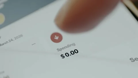 Financial summary showing no spending activity, Total Spending is 0 US dollars Stock Footage 330257638