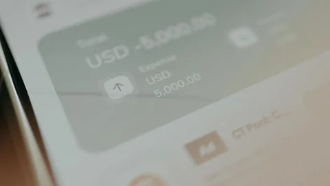 Financial summary showing a total expense of USD 5k Stock Footage 330673556