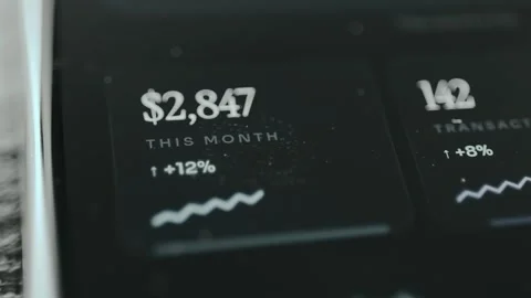 Financial summary, Total amount earned this month and a growth percentage Stock Footage 332493669