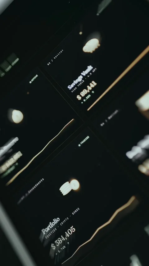 Financial tracking, interface with categorized expenses and monitored assets Stock Footage 334939815