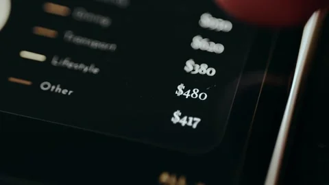 Financial tracking interface showing expenses categorized by type Stock Footage 331165135