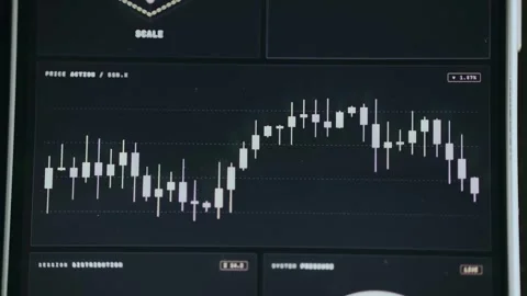 Financial trading candlestick chart labeled Price Action Stock Footage 334435059
