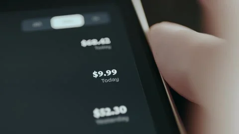 Financial transaction data showing expenses categorized by day Stock Footage 332481301