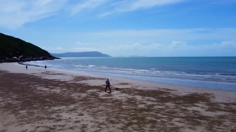 Finch Bay- man walks dog on beach Stock Footage