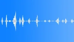 Finch Singing Sound Effect
