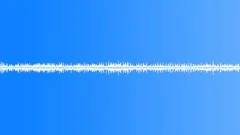 Finches, turtledoves, crow. Loop Sound Effect