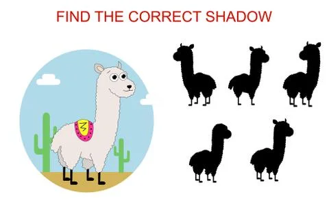 Find the correct alpaca shadow Stock Illustration