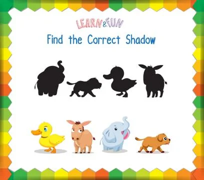 Find the correct Animals shadow Stock Illustration