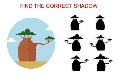 Find the correct baobab shadow Stock Illustration