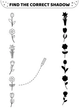 Find the correct shadow. Black and white. Flower. Spring flowers. Shadow Stock Illustration
