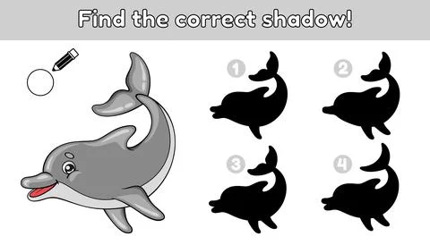 Find the correct shadow dolphin Stock Illustration