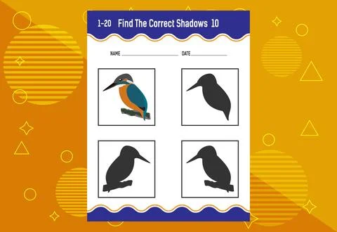 Find the correct shadow. Education developing worksheet. Matching game for .. Stock Illustration