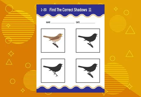 Find the correct shadow. Education developing worksheet. Matching game for .. Stock Illustration