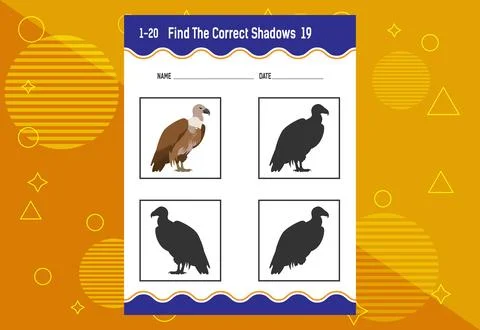 Find the correct shadow. Education developing worksheet. Matching game for .. Stock Illustration