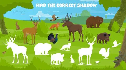 Find correct shadow game, forest hunting animals Stock Illustration