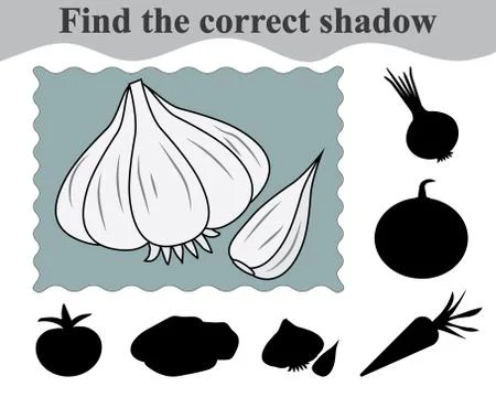 Find the correct shadow of garlic. Education. Game for children. Vector illus Illustrazione stock