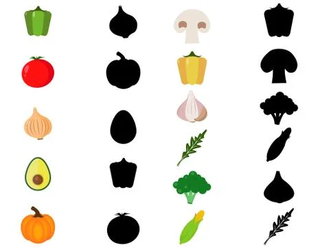 Find the correct shadow Stock Illustration