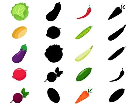 Find the correct shadow Stock Illustration