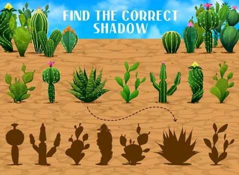 Find the correct shadow of mexican prickly cactus Stock Illustration