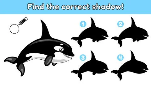 Find the correct shadow orca Stock Illustration