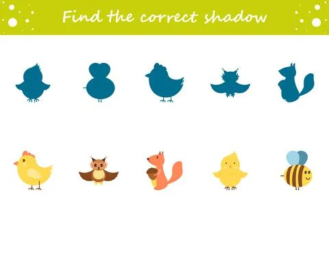 Find the correct shadow. Owl, chick, hen, squirrel, bee, cock. Education work Stock Illustration