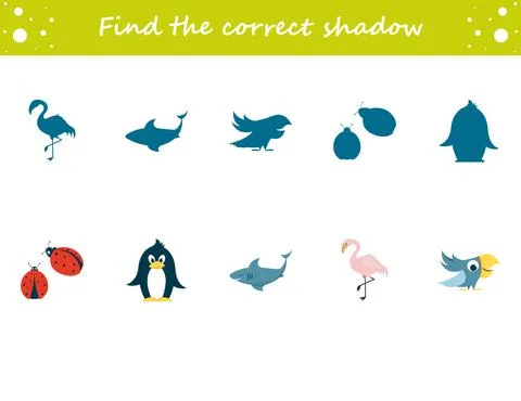 Find the correct shadow penguin, ladybug, parrot, flamingo, shark. Education  Illustrazione stock