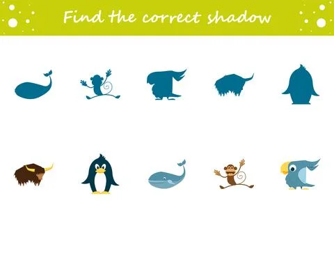 Find the correct shadow penguin, yak, parrot, monkey, whale. Education worksh 스톡 일러스트