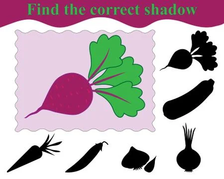 Find the correct shadow of red beet. Education. Game for children. Vector ill Stock Illustration