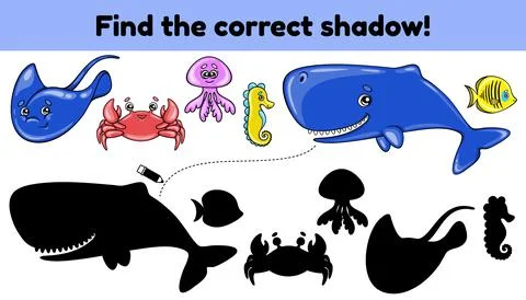 Find the correct shadow sea animals-2 Stock Illustration