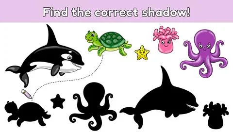 Find the correct shadow sea animals-4 Stock Illustration
