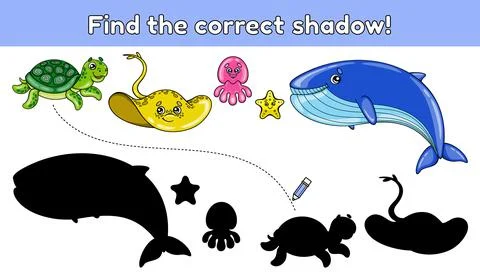 Find the correct shadow sea animals-5 Stock Illustration