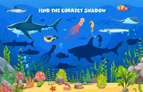 Find correct shadow of sea animals, kids game quiz Stock Illustration
