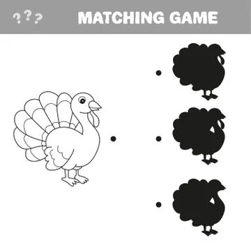 Find the correct shadow - turkey, farm bird Illustration