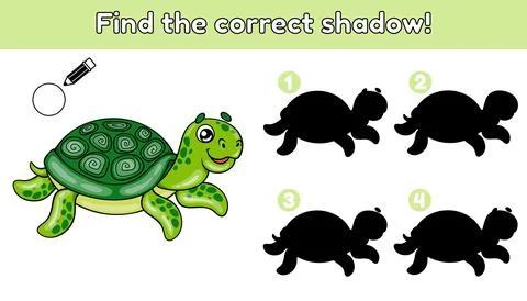 Find the correct shadow turtle Stock Illustration