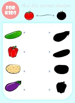Find correct shadow vector cartoon template, educational game for kids, presc Stock Illustration