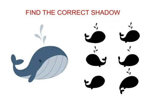 Find the correct whale shadow Stock Illustration
