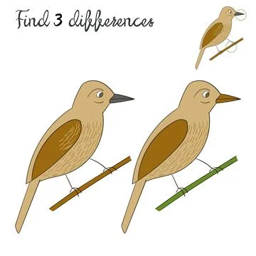 Find differences kids layout for game bird Stock Illustration