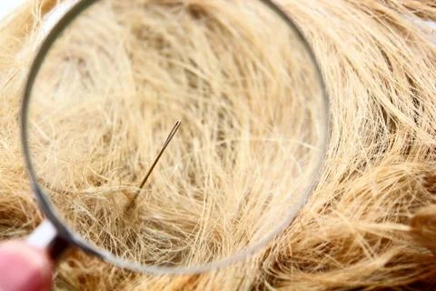 Find a needle in the haystack Stock-Fotos