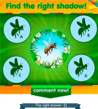 Find right shadow bee Stock Illustration