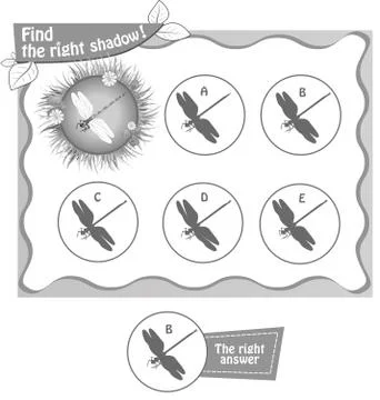 Find right shadow dragonflybv Illustrazione stock